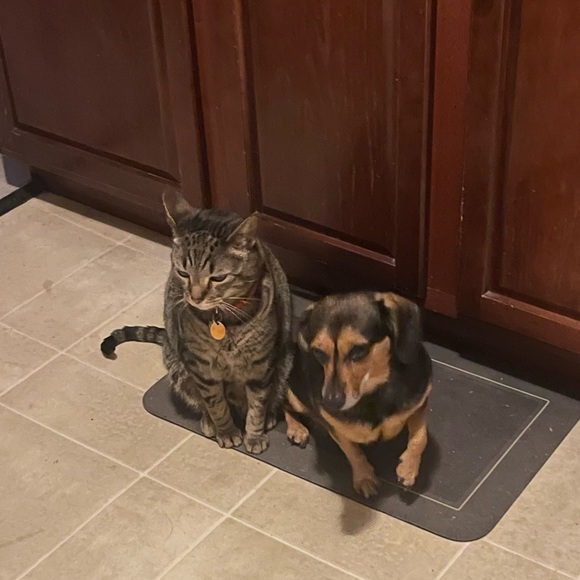 Meet your Posher, Kari - Picture 6 of 6